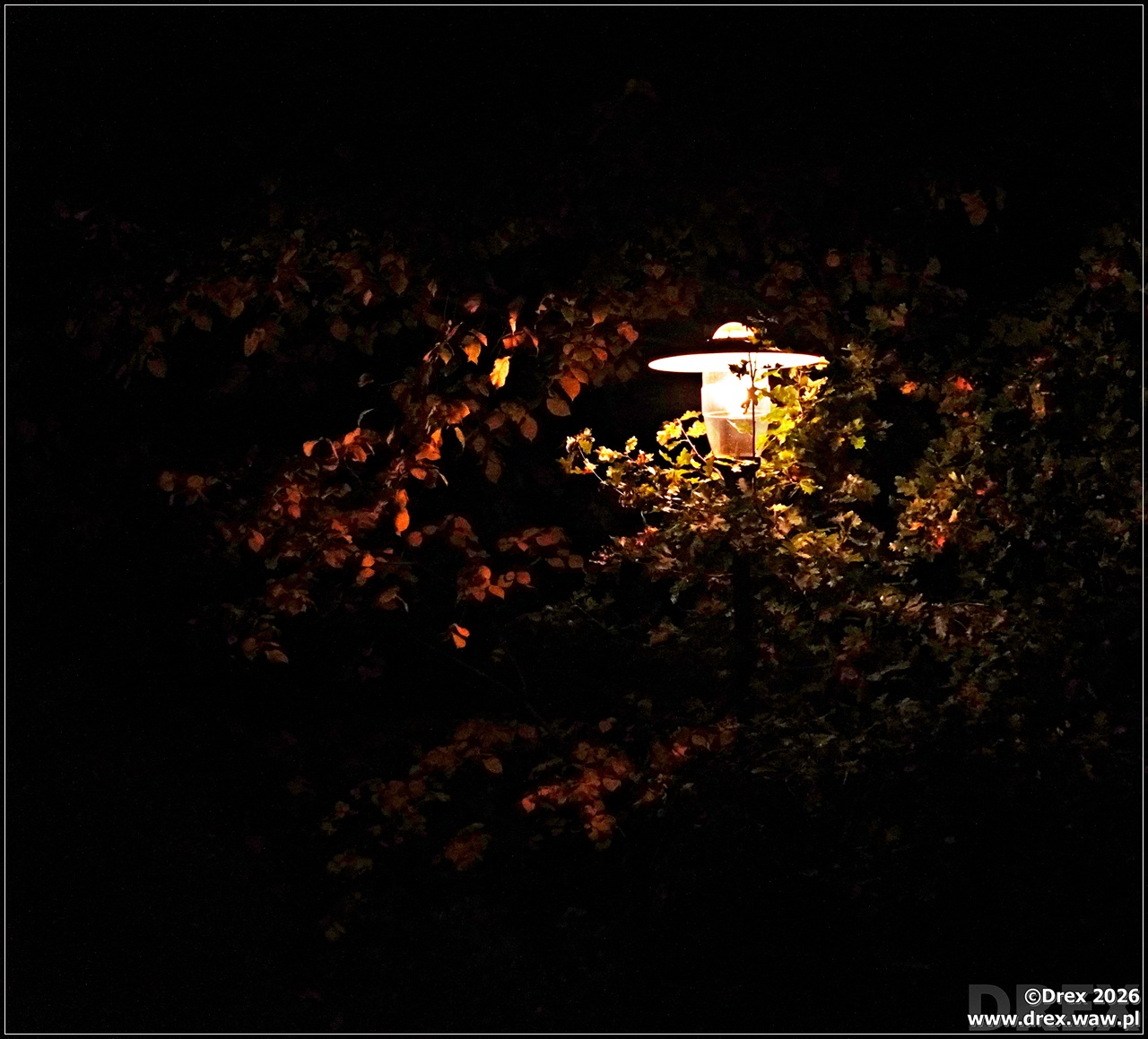 Pole Mokotowskie lampa